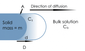 Avivia Theory: Dissolution Rate: Noyes Whitney parameters